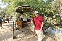 1-img_8931.jpg