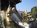 2-img_3249.jpg