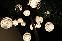 3-img_0266.jpg