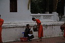 3-img_0309.jpg