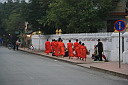 3-img_0344.jpg