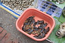3-img_0387.jpg