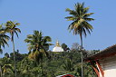 3-img_0453.jpg