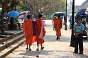 3-img_0514.jpg