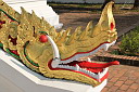 3-img_0557.jpg
