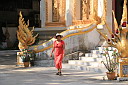 3-img_0656.jpg