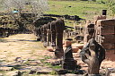 3-img_0980.jpg