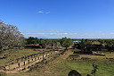 3-img_0993.jpg