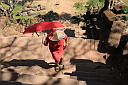 3-img_1030.jpg