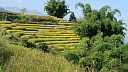cimg_0257.jpg