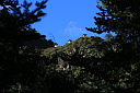 img_0482.jpg