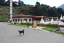 img_1688.jpg