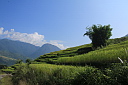 img_2038.jpg