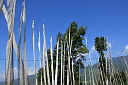img_2066.jpg