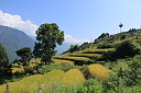 img_2166.jpg