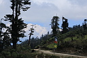 img_2314.jpg