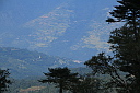 img_2328.jpg
