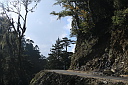 img_2696.jpg