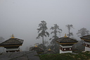 img_9401.jpg