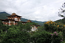 img_9536.jpg