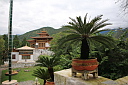 img_9655.jpg
