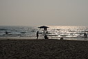 img_5833.jpg