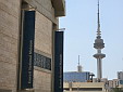 102051.jpg