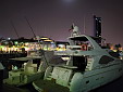 225242.jpg