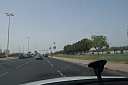 img_1277.jpg