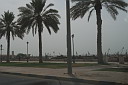 img_1355.jpg