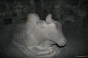 img_7596.jpg