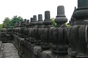 img_7677.jpg