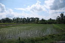img_8059.jpg