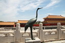 img_8746.jpg