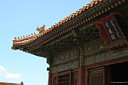 img_8879.jpg