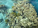 img_3690.jpg