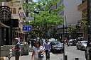 img_5598.jpg