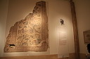 img_5844.jpg