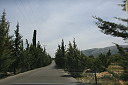 img_6224.jpg