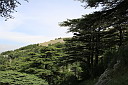img_6275.jpg