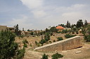 img_6513.jpg