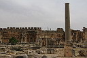 img_6572.jpg