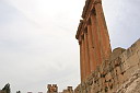 img_6644.jpg