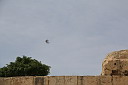 img_6668.jpg