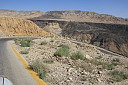 img_7153.jpg