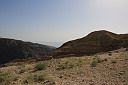 img_7155.jpg
