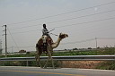 img_7282.jpg