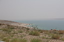 img_7308.jpg