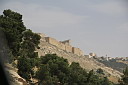img_7322.jpg