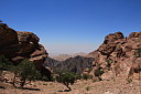 img_7946.jpg